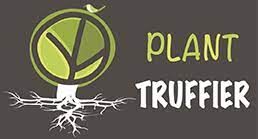 Plant truffier